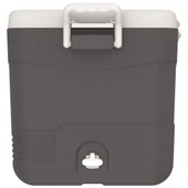 IcePeak CoolCraft 60 Buzluk 56.4 Litre-FÜME - 5