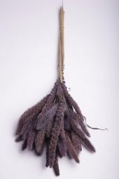 Hoş Kokulu Mor Seterya Çiçeği Dekoratif Pampas Kuru Çiçek 50 cm - 4