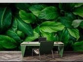 Yeşil Yaprak Arkaplan Temalı Duvar Kağıdı thumbnail 4