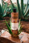 No.2 Bond Plex Restore Repair Yıpranma Karşıtı Saç Bakım Şampuanı 350 Ml-sülfatsız - 5