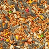 Quik Paraket Yemi 750 gr - Sultan Papağanı Yemi 750 gram - 2