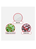 Gardener 11301 Saksılı Bitkiler İçin Soğuktan Koruma Örtüsü 30 g - 0,8 m x 1 m ( 2 Adet) - 2