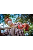 Einhell TE-BF 18 Lİ Solo Akülü Bant Eğe 4461000 - 3