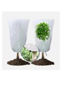 Gardener 11501 Bahçe Bitkileri İçin Soğuktan Koruma Örtüsü 50 g - 2,4 m x 5 m - 3