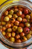 GRD ORGANİK ALIÇ SİRKESİ 500 ml - 4