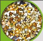 Damızlık Güvercin Yemi 1 KG - 1