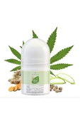 LR ALOE VERA CBD MASAJ ROLL-ON 50 ML - 1