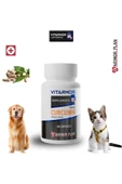 VITARMOR SUPPLEMENTS CURCUMIN KEDİ & KÖPEK Besin Takviyesi 30 Kapsül 650 mg - 1