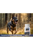 VITARMOR SUPPLEMENTS CURCUMIN KEDİ & KÖPEK Besin Takviyesi 30 Kapsül 650 mg - 3