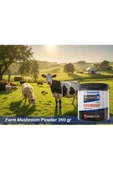 VITARMOR SUPPLEMENTS Farm Mushroom Powder 350 Gr - 2