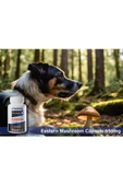 VITARMOR SUPPLEMENTS MUSHROOM KEDİ & KÖPEK Bağışıklık Sistemi Destekleyici 60 Kapsül 650 mg - 3
