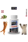 VITARMOR SUPPLEMENTS MUSHROOM KEDİ & KÖPEK Bağışıklık Sistemi Destekleyici 60 Kapsül 650 mg - 1