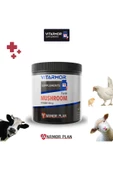 VITARMOR SUPPLEMENTS Farm Mushroom Powder 350 Gr - 1