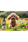ARMOR COAT Köpek Bakım Spreyi Çilek Kokulu 200 ml - 4