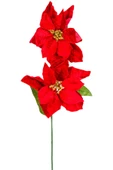 Yılbaşı Çiçeği Puansetya 2 Çiçekli Kırmızı 75 Cm thumbnail 1