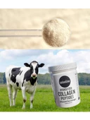 Salonline Katkısız ve Aromasız Hidrolize Kollajen 300 Gram - 6
