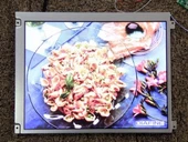 Mitsubishi 12.1" AA121SP01 LCD Ekran Paneli Garantili Teşhir Ürünü - 1