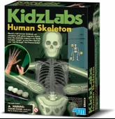 Parlayan Insan Iskeleti Magnet Seti İskelet Sistemini Öğretici Set thumbnail 1
