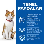 Hills Kısırlaştırılmış Somonlu Kedi Maması 10 Kg - 4