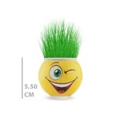 Periboia Çim Adam Saksı Emoji Figürlü 1 Adet - 4