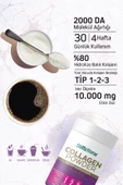 Collagen Powder, Kolajen, Glutatyon & Hyaluronik Asit & C Vitamini İçeren Takviye Edici Gıda (3 Adet) thumbnail 3
