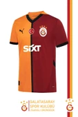 Galatasaray Orijinal Lisanslı 24/25 Parçalı Forma Premium Uçlu Kalem Set Aslan Baskılı Ahşap Kutulu - 2