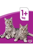Whiskas Tavuklu Konserve Kedi Maması 400 Gr 24 Adet - 2