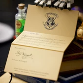 Orjinal Lego Harry Potter Hogwarts Simgeleri Baykuş Hedwig - Koleksiyoncu Seti Lego Harry Potter 76391 - 6