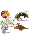 lexton Propolis - Pasiflora - Mayıs Papatyası - Lavanta Aromalı Harnup Özü 640gr - 2