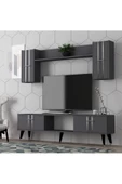 Cantek Dizayn Asel Tv Ünitesi Takımı Antrasit-Gümüş - 1