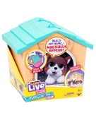 LLP Yavru Köpeğim ve Evi Sürpriz Paket Mavi Çatı LPP01110 thumbnail 1