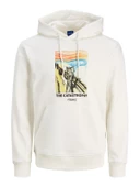 12243619  Jack & Jones  SWEAT - 1