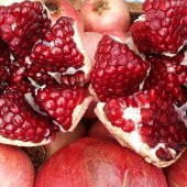 Tüplü İri Taneli Devedişi Nar Fidanı - 3