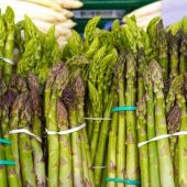 Kuşkonmaz Tohumu (20 adet) thumbnail 2