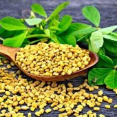 Çemen Otu Tohumu (30 tohum) thumbnail 5