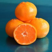 Tüplü Aşılı Çekirdeksiz Ovari Mandalina Fidanı - 3