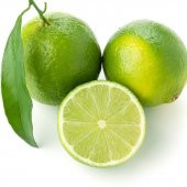 Tüplü Aşılı Tahiti Lime Quat (Çekirdeksiz Limon) Fidanı - 4