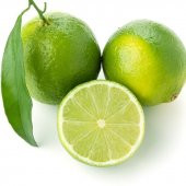 Tüplü Aşılı Tahiti Lime Quat (Çekirdeksiz Limon) Fidanı - 5