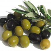 Tüplü Salamuralık Gemlik Trilye Zeytin Fidanı - 10