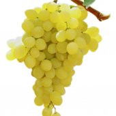 Tüplü İtalia Üzüm(Asma-Bağ) Fidanı thumbnail 2