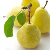 Tüplü Aşılı Aromatik Leziz Williams (Barlett) Armut Fidanı thumbnail 3