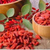 Tüplü Goji Berry Kurt Üzümü Fidanı (10 Adet) - 4