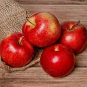 Tüplü Aşılı Tam Bodur Red Miracle Elma Fidanı thumbnail 2