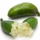 Tüplü Nadir Çeşit  Finger Lime Limon Fidanı (10-30 cm ) - 2