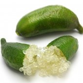 Tüplü Nadir Çeşit  Finger Lime Limon Fidanı (10-30 cm ) - 3