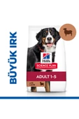 SCIENCE PLAN Kuzulu ve Pirinçli Büyük Irk Yetişkin Köpek Maması 14 Kg - 1