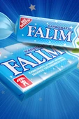 Falım Işıl Naneli Tekli Sakız 100 Adet - 4