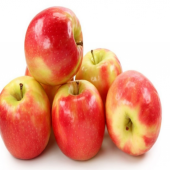 Tüplü Geçci Rose Glow Elma Fidanı - 1