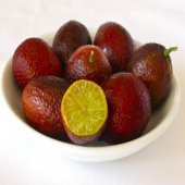 Tüplü Aşılı Özel Üretim Nadir Bulunan Kırmızı Lime Limon Fidanı - 1