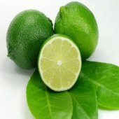 Tüplü Aşılı Verimli Bol Sulu Yeşil Meksika Lime Fidanı - 1